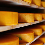 Россия ответила на санкции запретом ввоза продовольствия