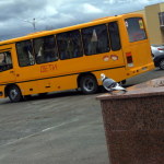 На этом автобусе главы поехали на кладбище.