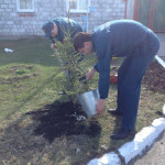 В Волчанске пожарные посадили свой “Лес Победы”