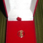 Золотой почетный знак "Общественное признание". Фото предоставлено Евгенией Колпаковой