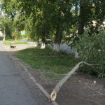 Прогноз погоды на два дня: возможны ливни, бури, град