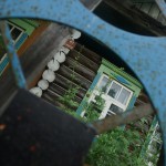 Волчанскому убийце двух женщин дали 15 лет 