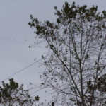 В Волчанск пришла осень