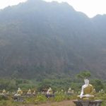 Природа в этом уголке Земли своеобразная